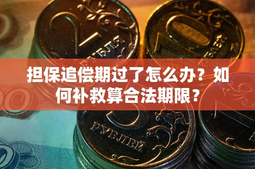 北京担保追偿期过了怎么办？如何补救算合法期限？