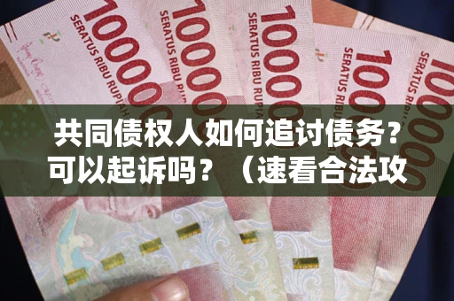 北京共同债权人如何追讨债务？可以起诉吗？（速看合法攻略）