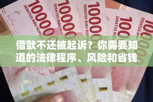 北京借款不还被起诉？你需要知道的法律程序、风险和省钱技巧