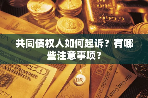 北京共同债权人如何起诉？有哪些注意事项？