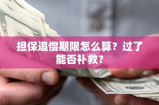 北京担保追偿期限怎么算？过了能否补救？